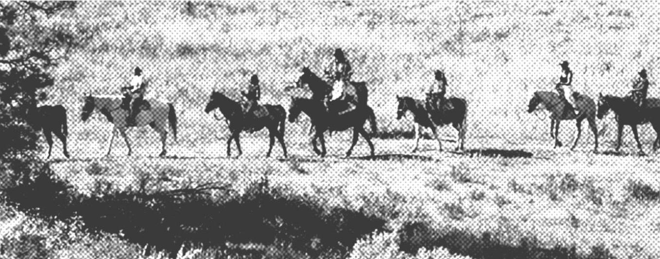 group on horses